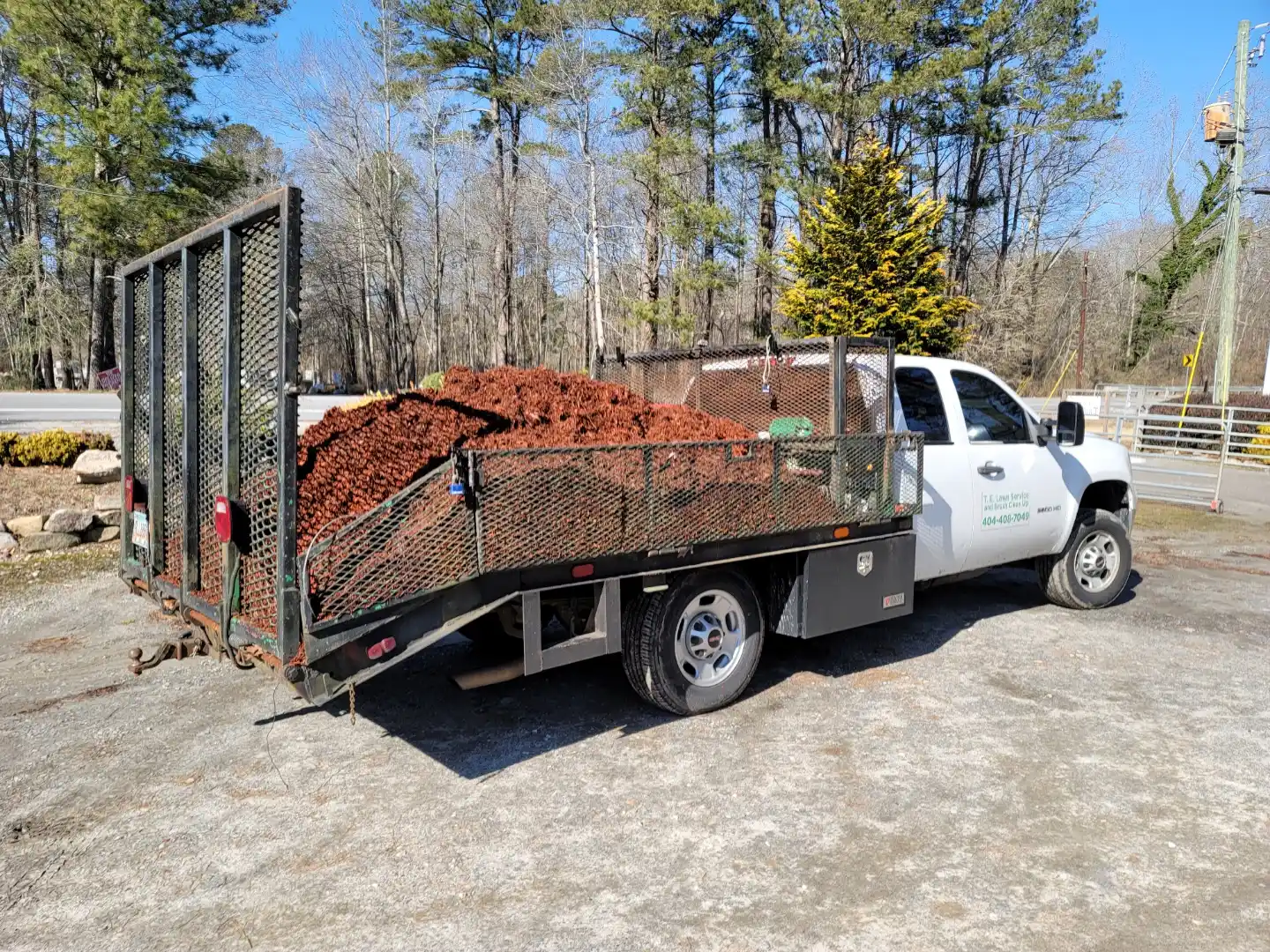 How to Revive a Dying Lawn in Atlanta A Step by Step Guide